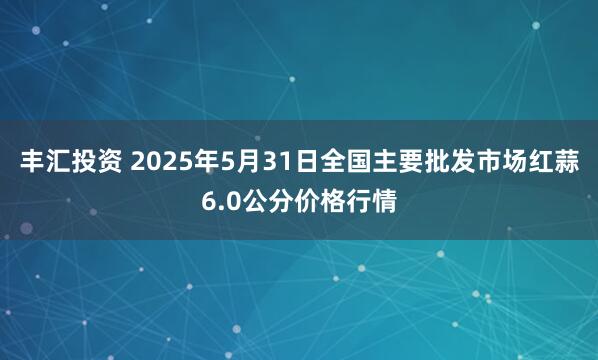 丰汇投资 2025年5月31日全国主要批发市场红蒜6.0公分价格行情