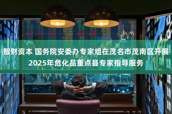 智财资本 国务院安委办专家组在茂名市茂南区开展2025年危化品重点县专家指导服务