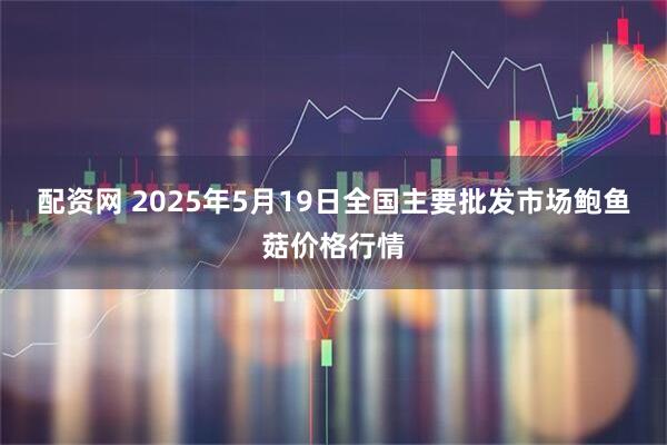 配资网 2025年5月19日全国主要批发市场鲍鱼菇价格行情